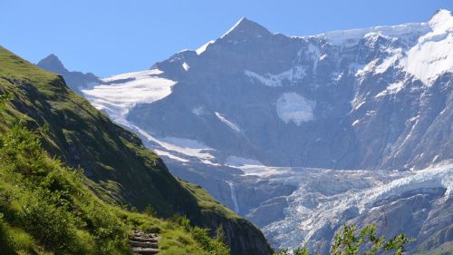  TRENINO VERDE: i paesaggi delle Alpi svizzere